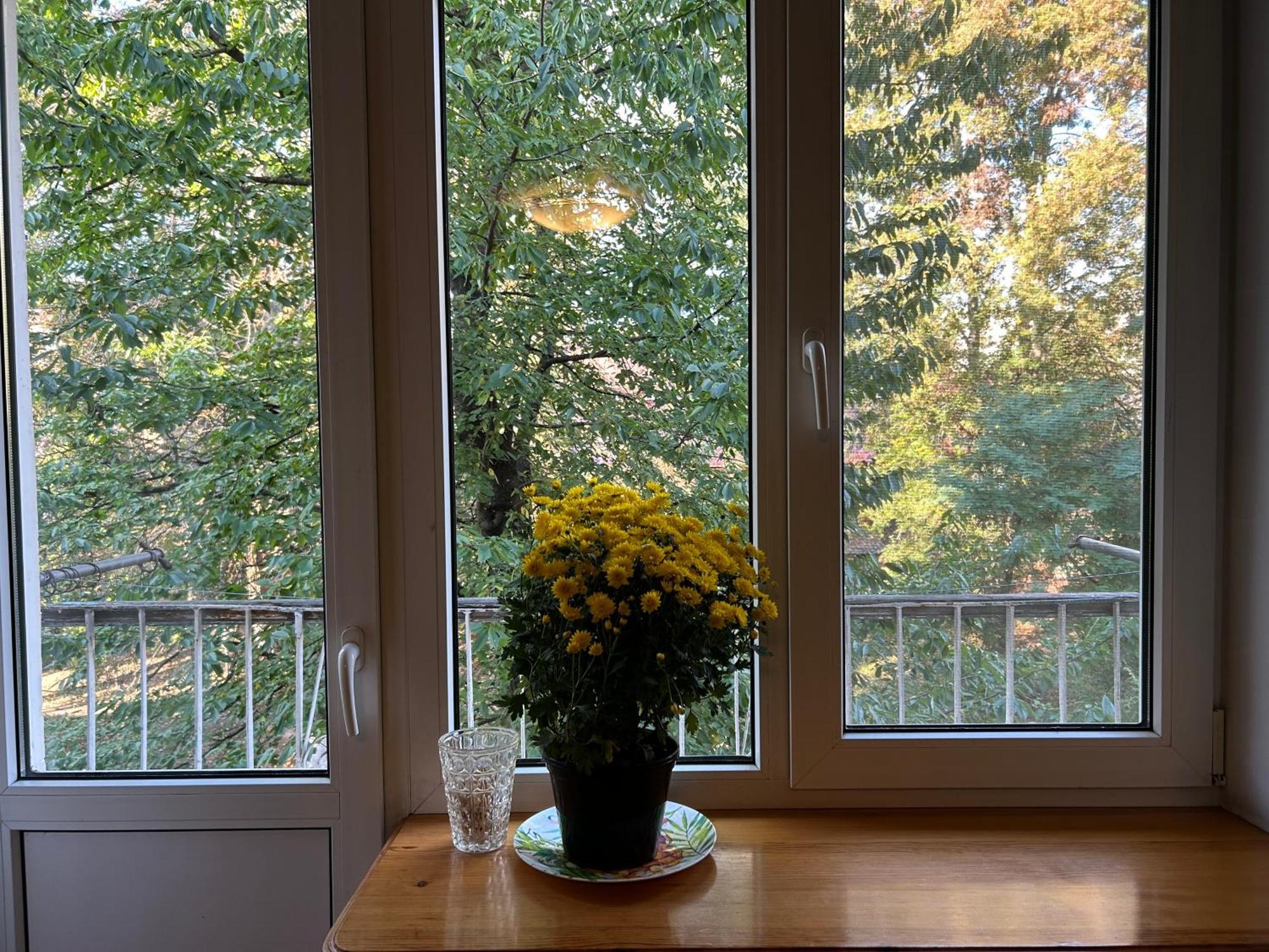 Three Bedroom Stepana Bandery Street 罗夫诺 外观 照片