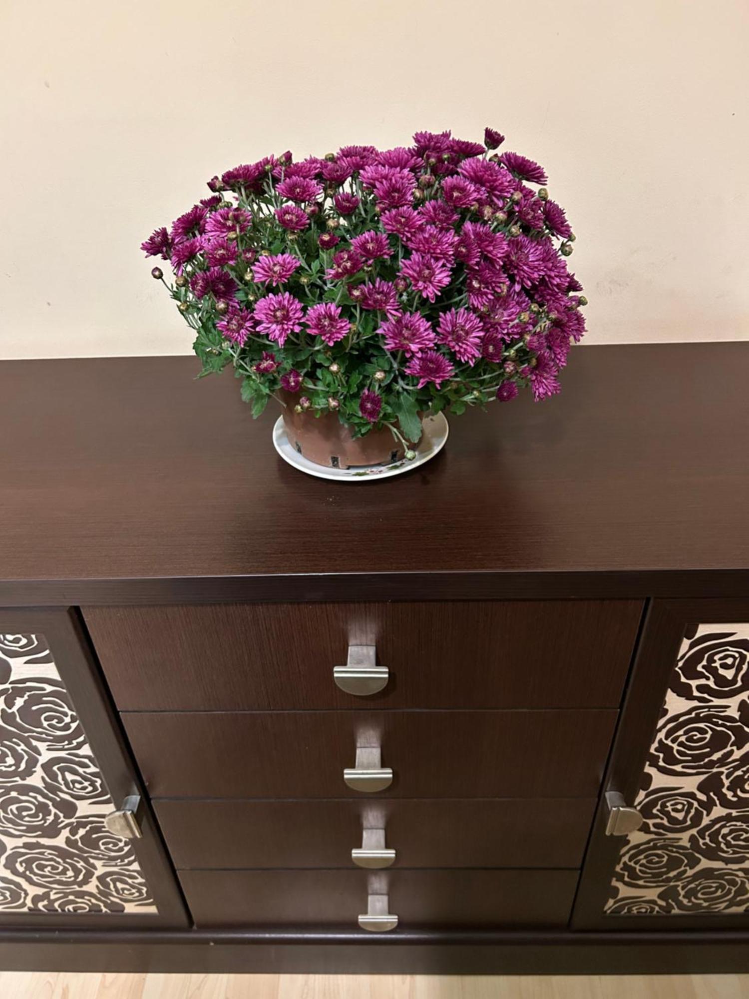 Three Bedroom Stepana Bandery Street 罗夫诺 外观 照片