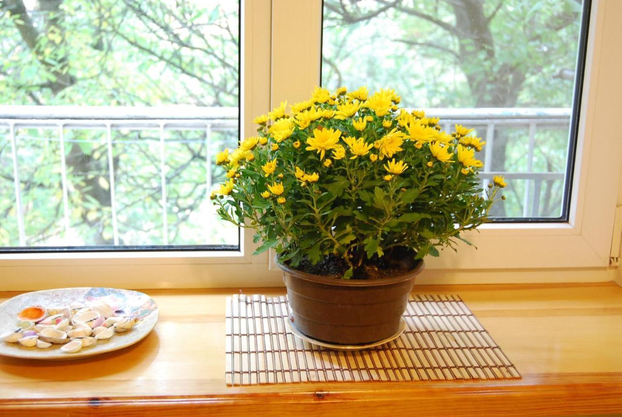 Three Bedroom Stepana Bandery Street 罗夫诺 外观 照片