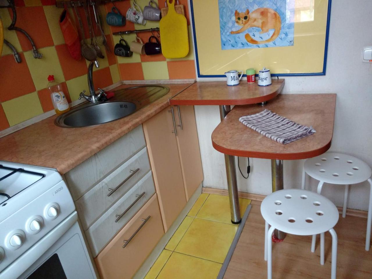 Three Bedroom Stepana Bandery Street 罗夫诺 外观 照片